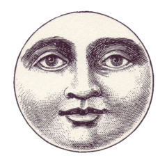 GISLANA WALLMANN